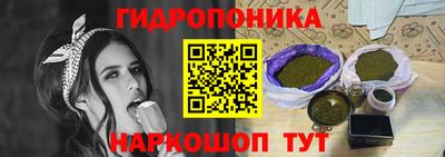 PSILOCYBIN Нальчик