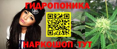 PSILOCYBIN Нальчик