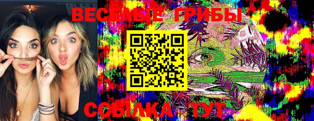 Галлюциногенные грибы GOLDEN TEACHER Соликамск