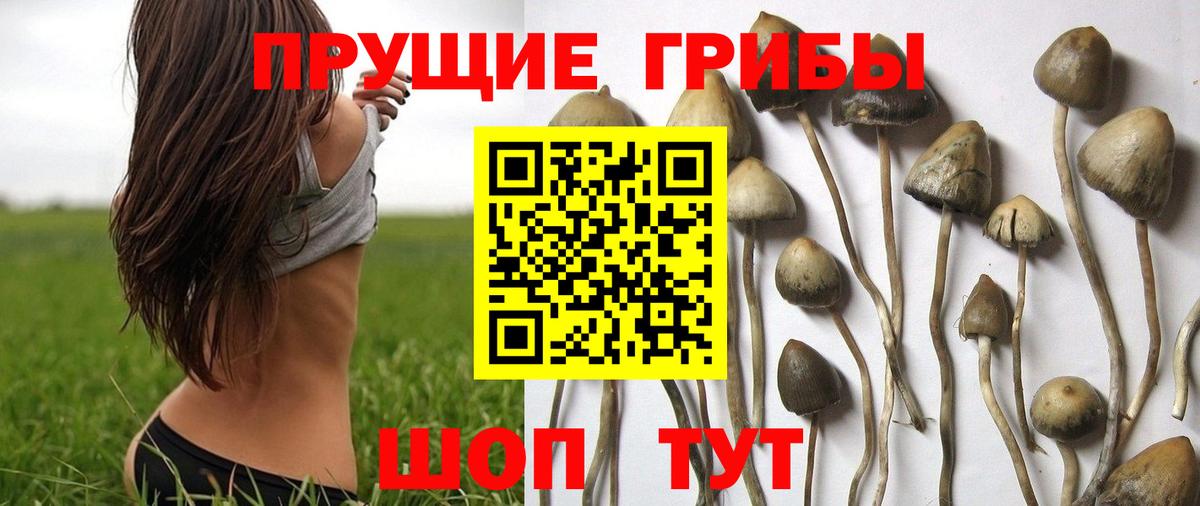 Соликамск  Псилоцибиновые грибы GOLDEN TEACHER  Вход с VPN 